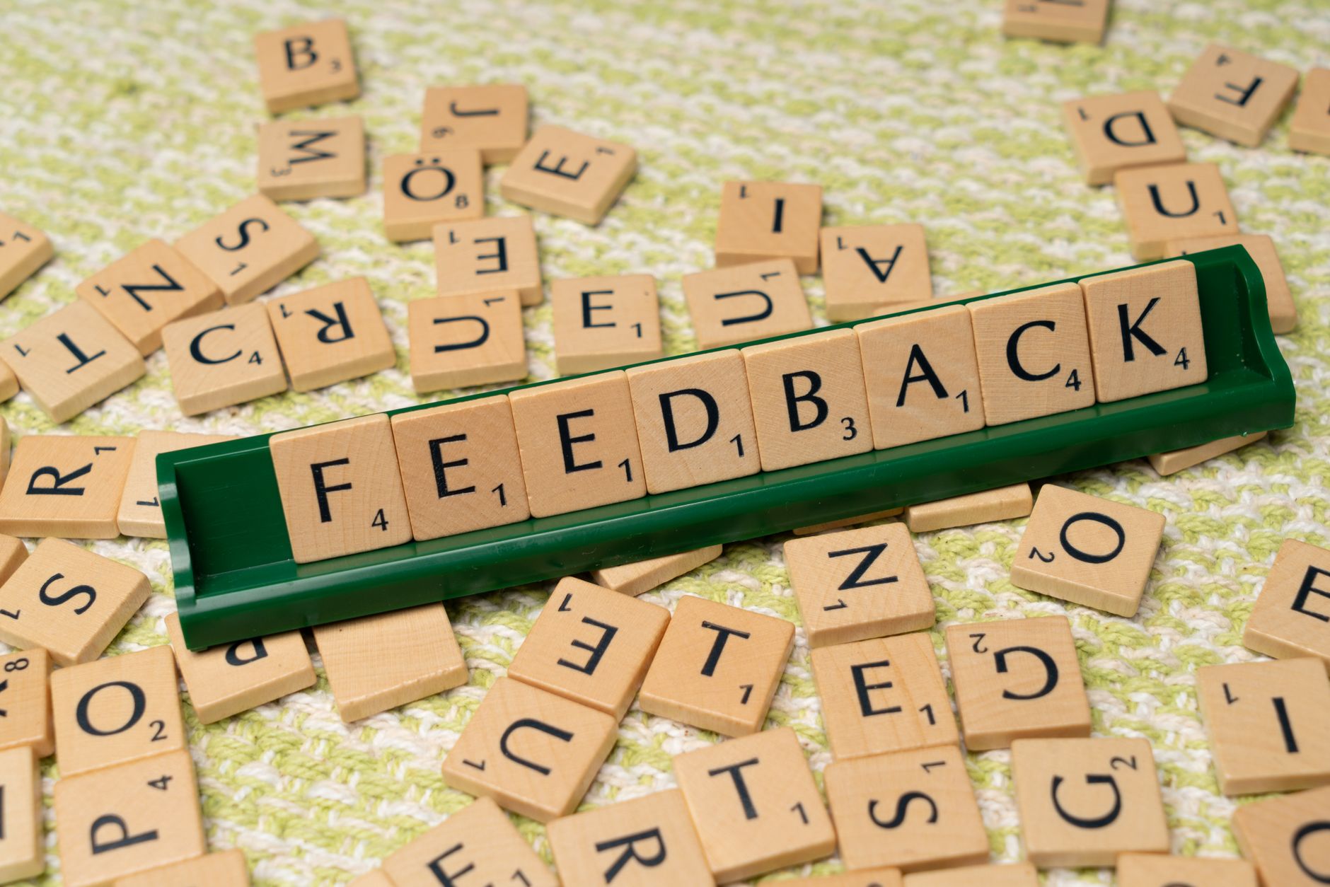 Your Experience Matters: The Reincarnation Survey Is Now Open